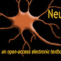 Neuroscience Online Avatar
