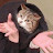 @sirspookybones1118