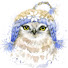 AOUvbsY0pbU-channel-avatar-Snowy Owl Knits