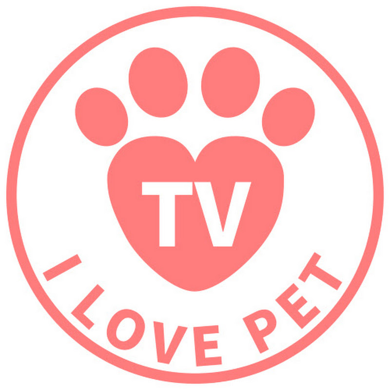 아이러브펫TV