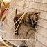 5hdVYqGmIaU-channel-avatar-Tom Gensemer
