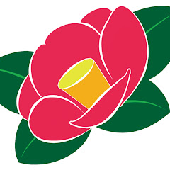 チャンネル椿