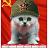 Автор