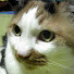 r4sKDECu-z8-channel-avatar-urawoじぃ channel