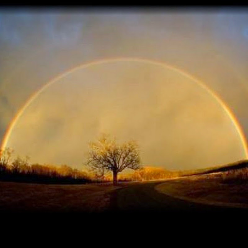 Spiritual Gifts & The Children Who Use Them