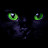 @Blackcat.highlight.