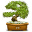 @ancientgem5125's avatar