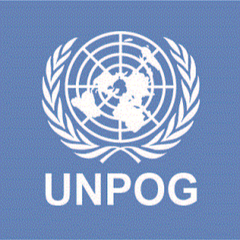 UNPOG DESA/DPIDG