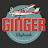 Ginger The Plane