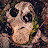 @Ed-qv2qd's avatar
