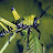@kungfil9931's avatar