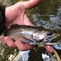 Allegheny Adipose Angling logo