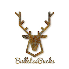 Bullets4Bucks net worth