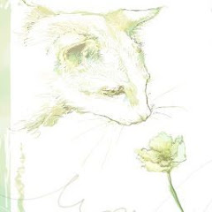 Nanashi-菜々詩