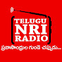 Telugu NRI Radio logo