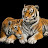 @chj2673