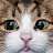 @user-qu7nn5it2n