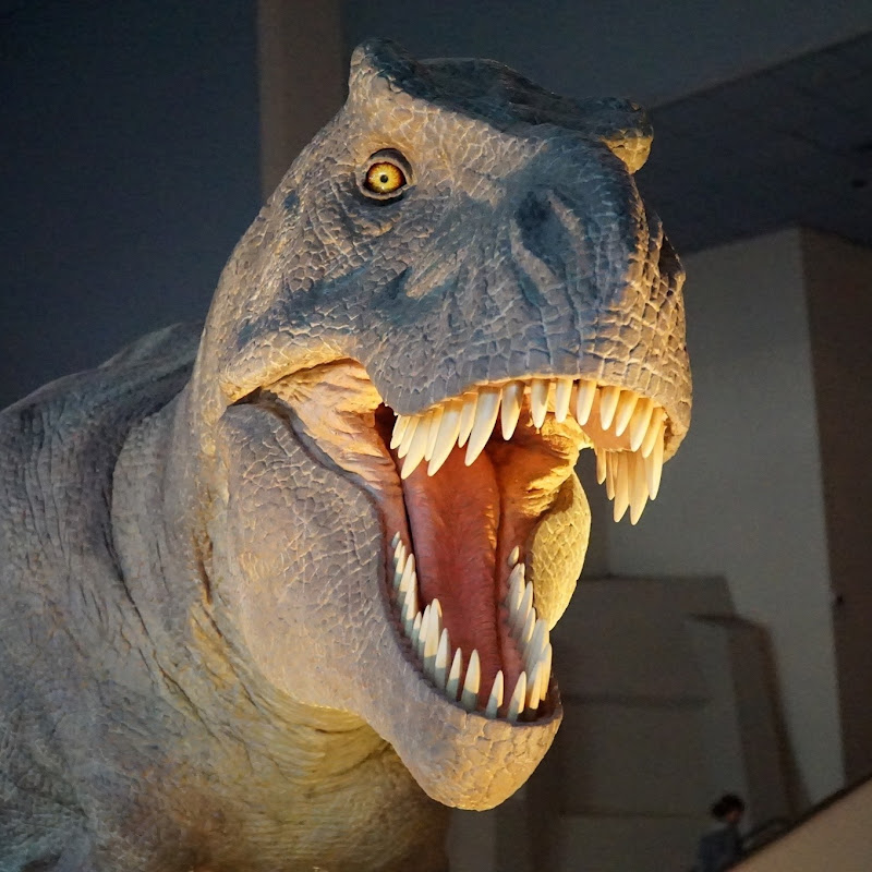 國立自然科學博物館National Museum of Natural Science Logo