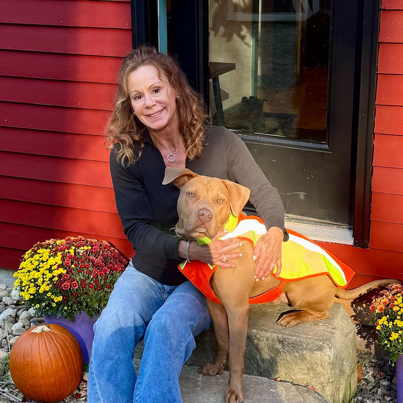 H2OBungalow Home Decor & Home Improvement