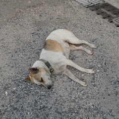 エージェイ 動画A-jay move