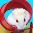 AmIPaBt3sRI-channel-avatar-Life Of Pets HamHam