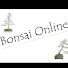 f_98Y56D1ZQ-channel-avatar-Mochikomi Bonsai