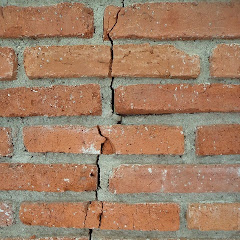 The Dallas Foundation