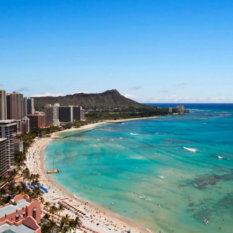 Michelle Wood (HawaiiRealEstateInfo)