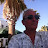 @alainpes8601 Avatar