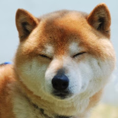 うーらchannel