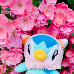 ポッチャマのぶーちゃんねる