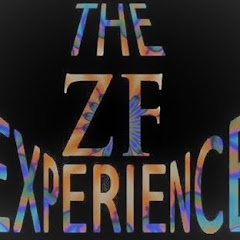 The ZF Experience