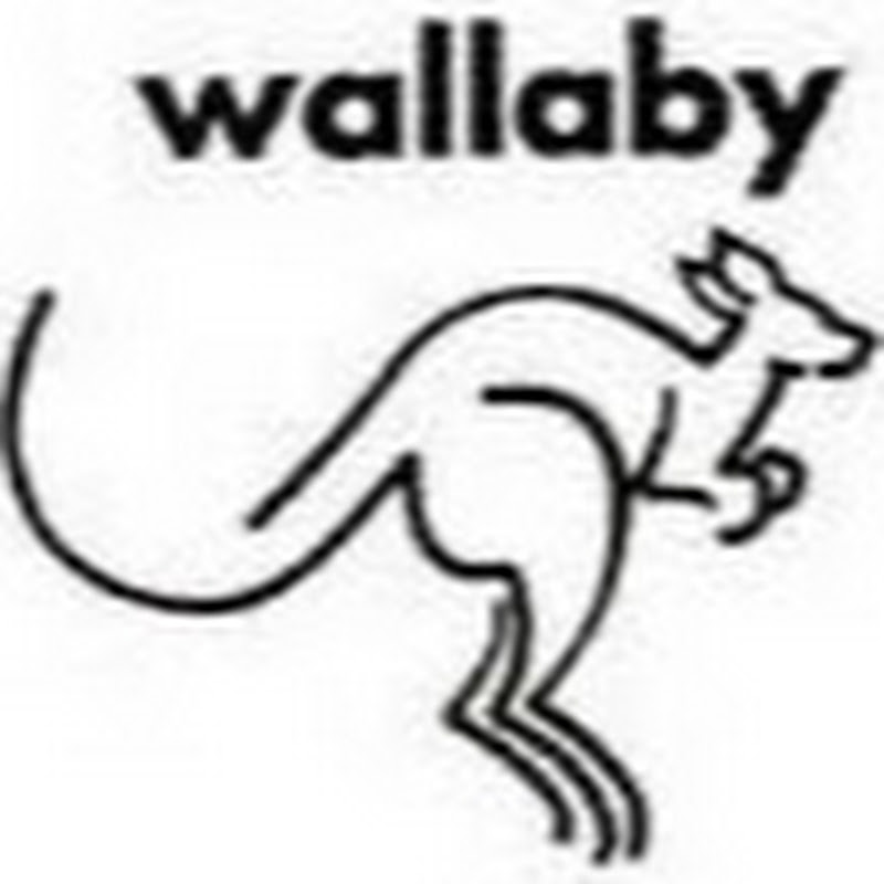 Wallaby 46