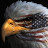 @GraywolfPatriot