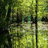 SV4WaBYK7-U-channel-avatar-Ambient Stereo Recordings