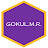 @gokulmrvkm's avatar
