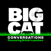 Big Cat Conversations
