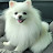 @user-gj8bw1ei9k