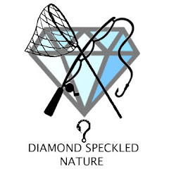 Diamond Speckled Nature