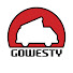 h7wgsznvcCE-channel-avatar-GoWesty Camper Products
