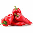 lFm3ywzrSn0-channel-avatar-Infinitypepper