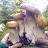 Mushrooms of the Carpathians