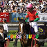 s5GYzNN8d_A-channel-avatar-HORSE STUDIO
