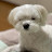 @부튜브-k6r