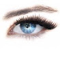 The Lashe Inc - Eyelash Extensions logo