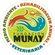 Fundación Munay