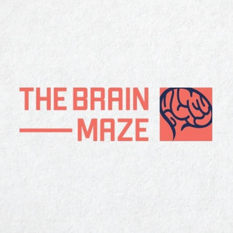 The Brain Maze