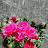 @jongbokpark5884