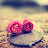 @myung6805