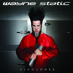 OfficialWayneStatic net worth